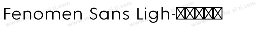 Fenomen Sans Ligh字体转换